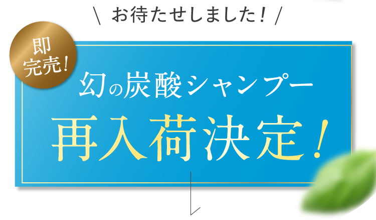 再入荷決定！