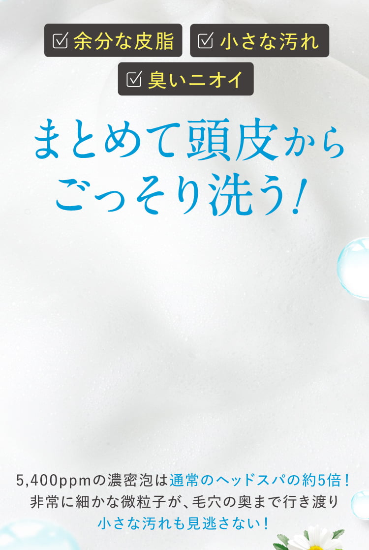 まとめて頭皮からごっそり洗う