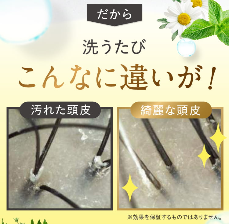 こんなに違いが