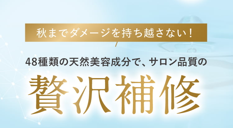 贅沢補修