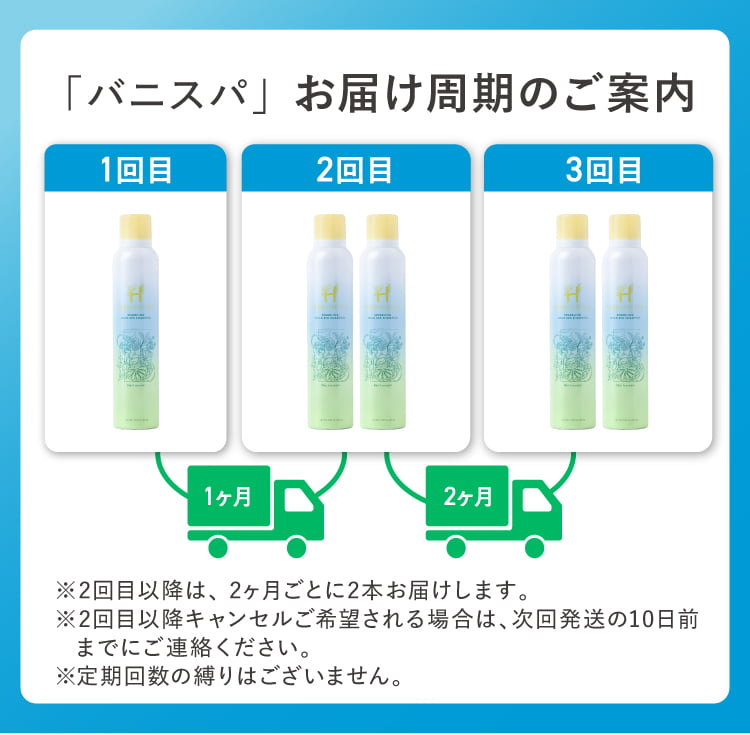定期便